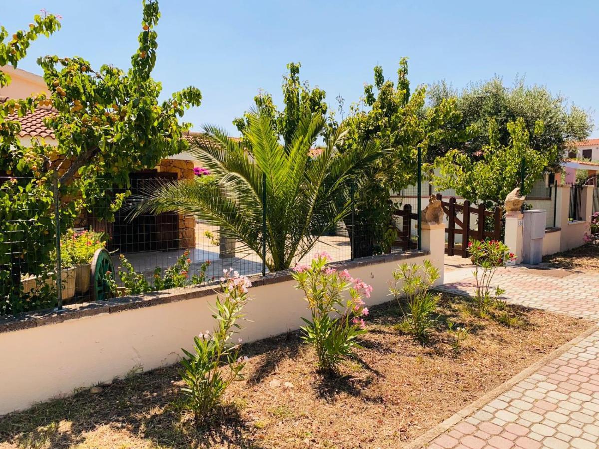 Residence La Cinta 8 سان تيودورو المظهر الخارجي الصورة